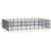 Outdoor Dog Kennel Steel 595.2 ftÂ¬â‰¤